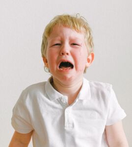 The Top Scams of the Year