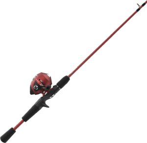 phishing costume
